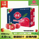 佳农烟台红富士苹果 净重4.8斤 单果重约200g+ 生鲜水果礼盒源头直发