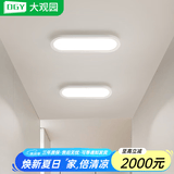 大观园（DGY）过道灯走廊灯led吸顶灯现代简约北欧长条客厅灯书房阳台灯具O263 12W 3892-白色40cm-中性光-全光谱