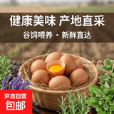 褐壳鸡蛋农家现捡新鲜谷物柴鸡蛋洋鸡蛋 单枚50g左右买菜早餐 鲜鸡蛋30枚装