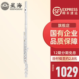 星海（XINGHAI INSTRUMENT）长笛镀银C调16键闭孔曲列E键长笛子专业院校考级长笛乐器 16孔C调白铜初学款YH-121（无E键）