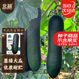 北蔬 黑皮冬瓜种子苗巨型黑皮特大好吃菜园蔬菜种籽 黑皮冬瓜种子50粒
