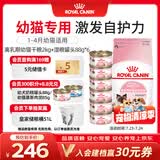 皇家猫粮 离乳期幼猫粮干湿套装BK34 2KG+幼猫湿粮罐头BMC 88g*6