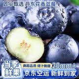 京地达蓝莓丹东花香蓝莓脆甜水果净重120g*8盒特大果20mm+源头直发包邮