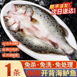 百鲜洽深海七星海鲈鱼开背三去整鱼速冻锁鲜真空包装免处理清蒸烤鱼食材 海鲈鱼【开背净膛】400g-500g条*1条