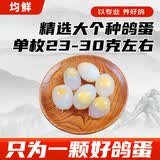 均鲜新鲜土鸽子蛋杂粮喂养农家特产白鸽蛋信鸽蛋孕妇宝宝年货节礼盒装 30枚750g左右精选大个种鸽蛋
