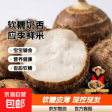 正宗山东牛奶小芋头礼盒芋头芋艿香糯新鲜现挖当季蔬菜过节送礼 牛奶小芋头净重5斤