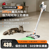 小狗P2吸尘器家用宠物猫毛大吸力无线小型地毯除螨手持吸拖一体带拖地水箱 P2【含除螨刷头】