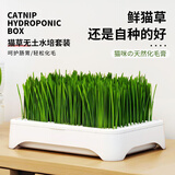 疯狂的主人猫草盆栽无土水培种植套装小麦种子天然猫草猫咪零食化毛去毛球