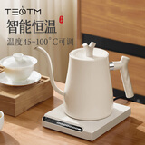 TEOTM手冲壶咖啡电热温控手冲壶挂耳长嘴恒温泡茶壶电热烧水壶
