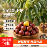 【东东农场专供】25年丹东新板栗生板栗炒菜专用新鲜蔬菜生鲜 25年新下树净重 2斤 送栗爪