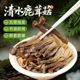 鲜窝窝 清水鹿茸菇400g 免泡发鹿茸菌菇火锅食材清水菌菇炒菜煲汤