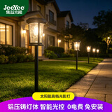 JEEYEE太阳能灯草坪灯户外防水别墅庭院灯过道花园灯装饰景观光控插地灯 玻璃地插灯（高60cm）-1个