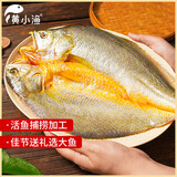 黄小渔宁德三去开背大黄鱼净重800g/条 黄花鱼生鲜鱼类海鱼海鲜烧烤中秋