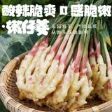 老坛子活泡菜袋装 什锦泡菜 四川眉山泡菜东坡活泡菜 方便菜即食下饭菜 活泡菜开味仔姜 500g*2袋