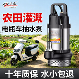 名磊直流水泵电瓶车潜水泵无刷直流电车专用抽水泵家用农用灌溉水泵  1寸48-60-72V550W7米线 5米水管套餐