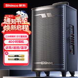 新科 （Shinco）T30广场舞音响户外大音量拉杆蓝牙音箱三喇叭重低音木质箱体家用K歌移动摆摊 15吋双咪