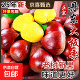 京喜加丹东新鲜板栗糖炒栗子原料糯甜板栗可生吃新鲜蔬菜生鲜 丹东鲜板栗 5斤 净重