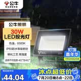 公牛（BULL）LED投光灯户外庭院工厂园林灯露营灯 IP65防水等级30W-6500K白光