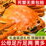 【活蟹】龙行大闸蟹现货六月黄鲜活螃蟹河蟹全公母水产海鲜礼盒装 全母蟹2.2-2.5两  8只