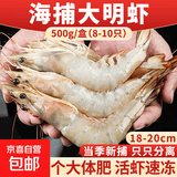 活冻海捕大明虾500g/盒 鲜活速冻大虾海虾对虾白虾 海鲜生鲜 虾类 海捕大明虾 500g(净重)  *3盒