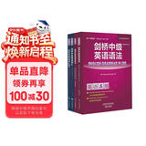 剑桥中级英语语法词汇+练习套装 中级语法及练习+中级词汇及练习（剑桥“英语在用”English in Use丛书 中文版 套装共4册）