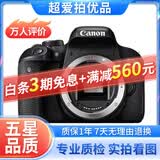 佳能/Canon 500D 600D 700D 800D 850D学生入门拍照摄像高清旅游 二手单反相机 95新 佳能800D 单机身 标配