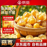 京觅东北姑娘果礼盒 2斤装 灯笼果黄菇娘洋菇茑 新鲜水果 源头直发