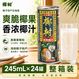 椰树椰果椰汁 250g*24罐 植物蛋白饮料 正宗海南特产 整箱装