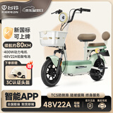 台铃电动自行车48V22AH铅酸石墨烯台铃蓝极鲸动力电池新国标可上牌电瓶车电助力代步通勤 咖啡 奶糖绿-48V22AH蓝极鲸动力电池