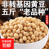 非转基因黄豆 山东老品种黄豆 笨黄豆 土黄豆 大豆 打豆浆做豆腐A 非转基因黄豆【5斤】
