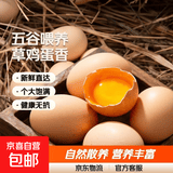 【山东大码蛋50g±5g】正宗草鸡蛋谷物鲜鸡蛋柴鸡蛋五谷杂粮喂养 40枚