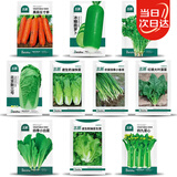 北蔬 萝卜白菜种子香菜菠菜胡萝卜生菜夏秋种 10种秋冬季蔬菜种子套餐