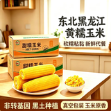 馋乡玉正宗东北新鲜黄糯玉米软糯拉丝真空包装寒地黑土一季低脂香甜早餐 东北黄糯玉米220g*6支