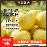 山东烟台黄金奶油富士苹果脆甜冰糖心很像维纳斯苹果 带箱4斤75果