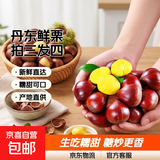 京喜加丹东新鲜板栗糖炒栗子原料糯甜板栗可生吃新鲜蔬菜生鲜 丹东板栗尝鲜装 100g (拍3单发4单共400g)