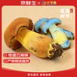 京鲜生云南特产鲜菌菇【新鲜见手青】净重1斤牛肝菌火锅食材源头直发
