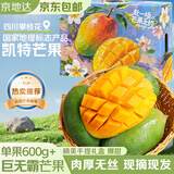 京地达攀枝花凯特芒果礼盒8斤巨无霸600g+肉厚无丝香甜新鲜水果送礼