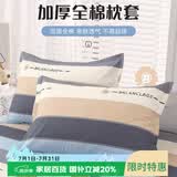 艾薇 A类全棉枕头套学生单人枕芯套纯棉枕套一个 罗马时代 48*74cm