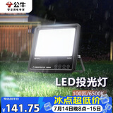公牛（BULL）LED投光灯庭院灯工地灯园林照明露营灯 IP65防水100W-6500K白光