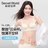 秘密世界（SecretWorld）王玉雯同款内衣女小胸聚拢收副乳防下垂无痕隐形显大女士文胸罩
