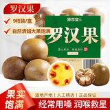 修年堂罗汉果9枚/盒 罗汉果茶果干 颗颗精选原产大果9颗泡水花草养生茶 