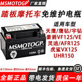 MSMOTOGP豪爵福星宇钻飞鹰悦星喜之星海王星女士125踏板摩托车电瓶12v通用 经济款：12V8A丨便宜实惠