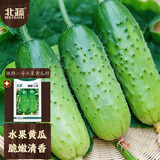 北蔬水果黄瓜种子苗青瓜盆栽秋冬菜籽 卓脆潍胖二号水果黄瓜种子100粒