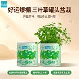 IAM City Farmer三叶幸运草罐头diy儿童种植小盆栽绿植植物种子好运罐头礼物10067