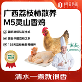 园丰灵山香鸡 净重1.2kg 果园散养158天肉质鲜香国家地标认证