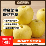 山东烟台黄金奶油富士苹果脆甜冰糖心很像维纳斯苹果 带箱5斤净4.5斤75果