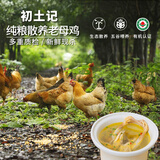 初土记 有机老母鸡2斤/只林下纯粮散养皖南老母鸡礼盒土鸡 原产地直发
