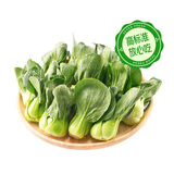 【安心菜】供港基地小油菜300g(青仔)