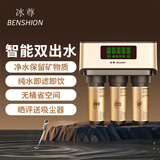 冰尊（BENSHION）净水器家用直饮智能双出水除菌保留矿物质RO反渗透纯水机 套餐一(标配)官方标配 安装 材料