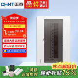 正泰强电箱配电箱明装13回路NEX5-C11300M